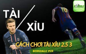 Cách-Chơi-Tài-Xỉu-2.5-3