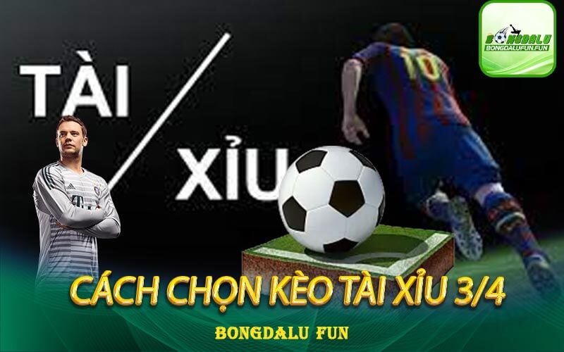 tài-xỉu-3-4-hiệu-quả-nhất