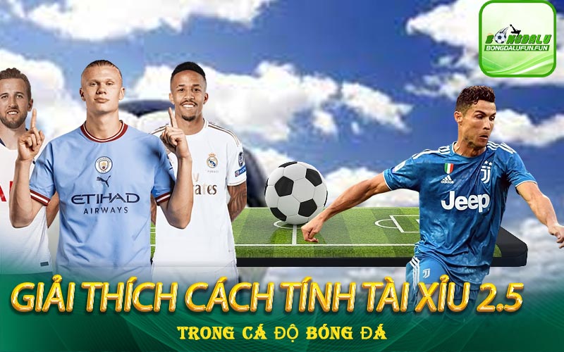 tài xỉu 2.5 trong cá độ bóng đá