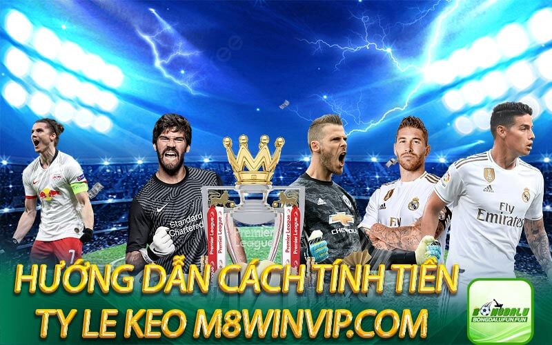 Hướng dẫn cách tính tiền ty le keo m8winvip.com