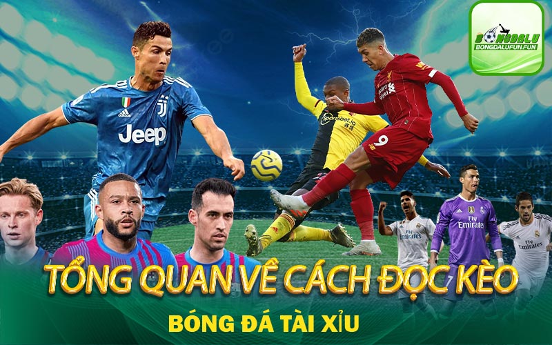 cách-đọc-bóng-đá-tài-xỉu-tổng-quan-bóng-đá