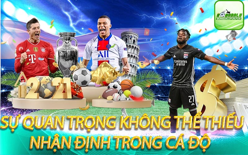 nhận-định-trong-cá-độ