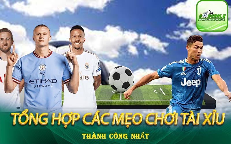 tổng-hợp-các-mẹo-cược-chơi-tài-xỉu-thành-công-nhất