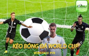 Soi Kèo Bóng Đá World Cup