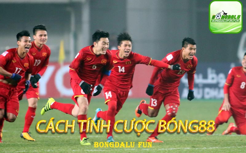 cach-tinh-cuoc-bong88